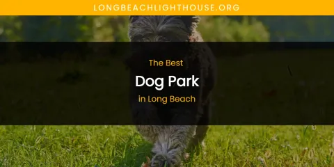 Long Beach's Best Dog Park
