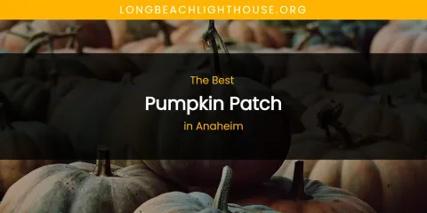 The Absolute Best Pumpkin Patch in Anaheim