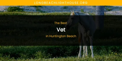 The Absolute Best Vet in Huntington Beach